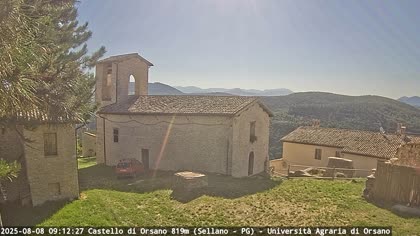 2025-08-08