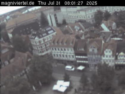 2025-07-31