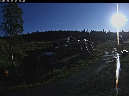 2025-08-03