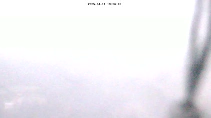 2025-04-11