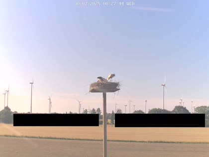 2025-07-30