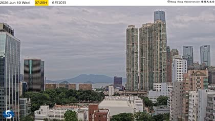 2026-06-10