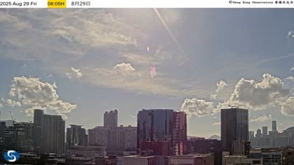2025-08-29