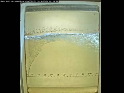 2025-06-24