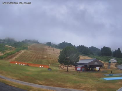 2025-08-01