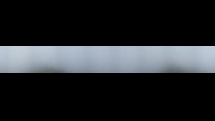 2025-08-01