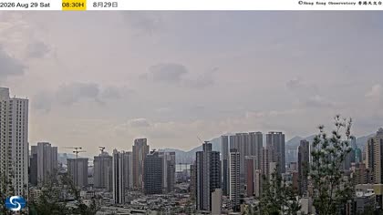 2026-08-29