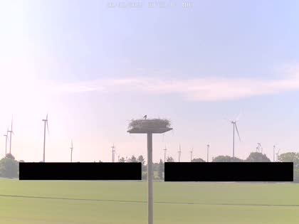 2025-05-20