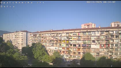 2025-08-11