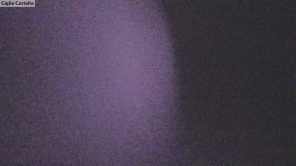 2025-08-02