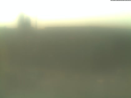 2025-08-29