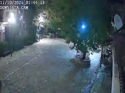 2025-10-11