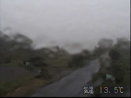 2025-07-10
