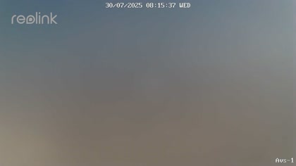 2025-07-30