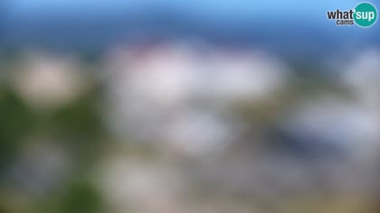 2026-07-07