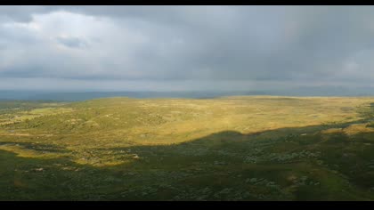 2025-07-22