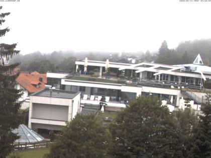 2026-06-11