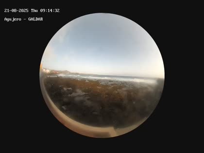 2025-08-21