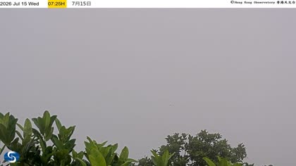 2026-07-15