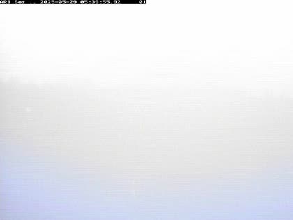 2025-05-29