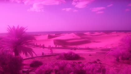 2026-08-28