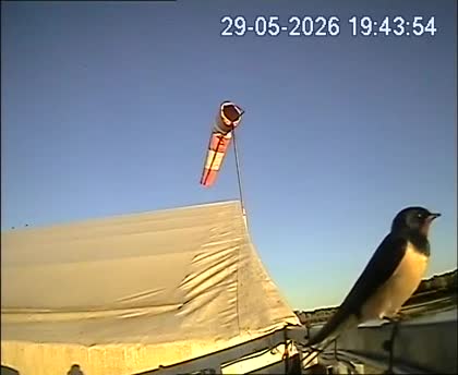 2026-05-29