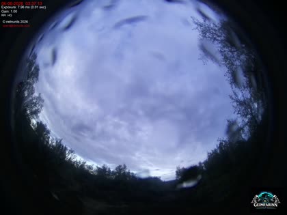 2026-06-06