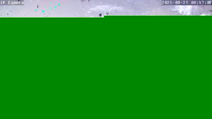 2025-08-21