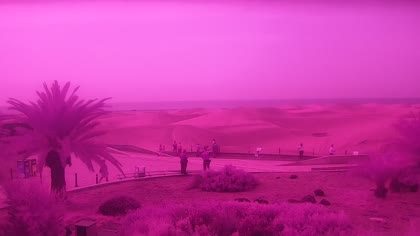 2026-05-26