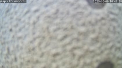 2025-10-06