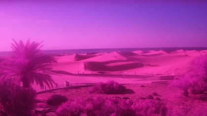 2026-08-26
