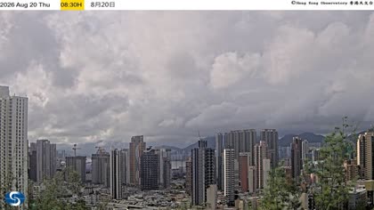 2026-08-20