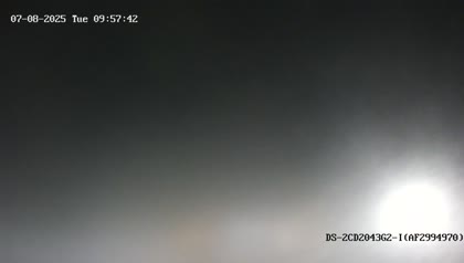 2025-07-08