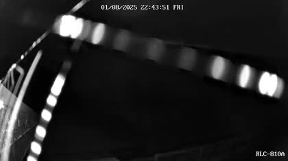 2025-08-02