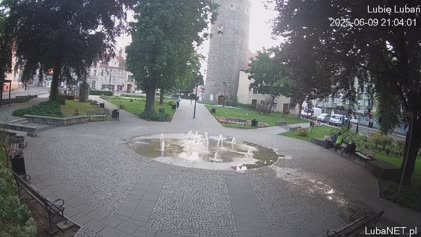 2025-06-09