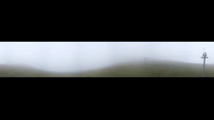 2025-08-02