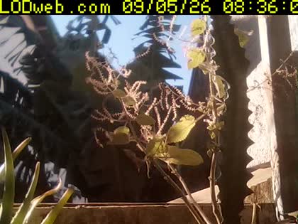 2026-09-05