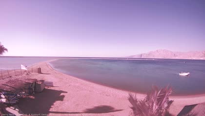 2025-09-05