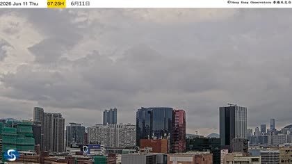 2026-06-11