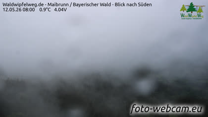 2026-05-12