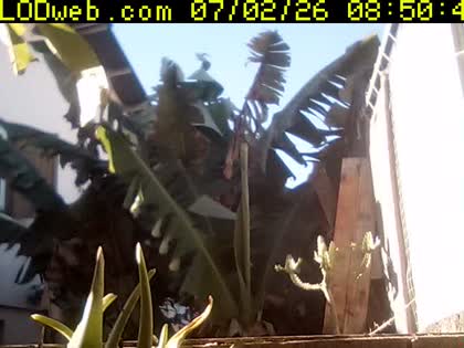2026-07-02