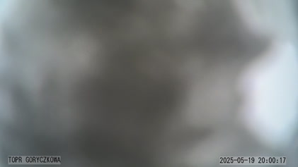 2025-05-19