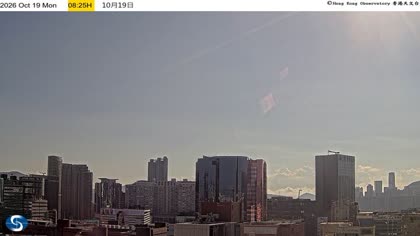 2026-10-19