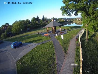 2026-05-19