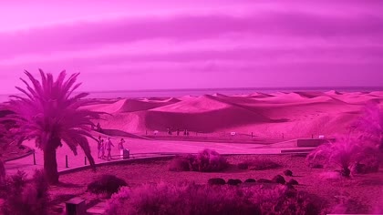 2025-08-22