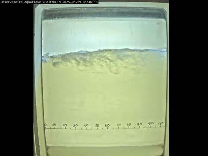 2025-05-29