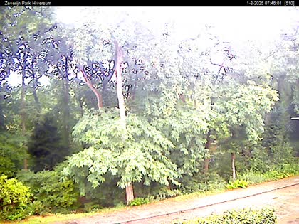 2025-08-01