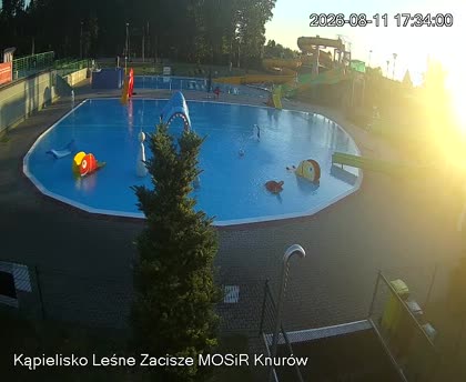 2026-08-11