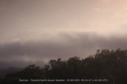 2025-08-22