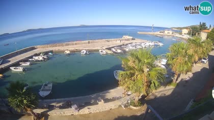 2026-07-10